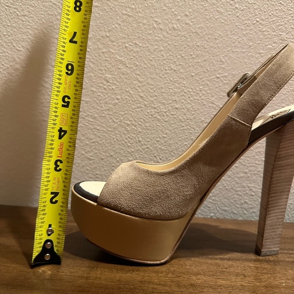 Giuseppe Zanotti - Picture 6 of 6